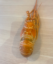 Charger l&#39;image dans la galerie, langouste blanche cuite