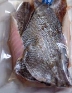 Dorade Grise 200 / 1Kg