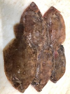 Limande - Sole 300 / 700g
