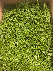 Salicornes fraiches