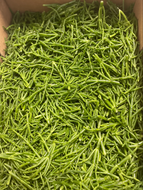 Salicornes fraiches