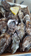 Huitres N°2, Saint Vaast la Hougue, Normandie