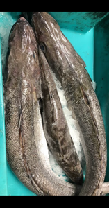 Merlu 2 /3 Kg