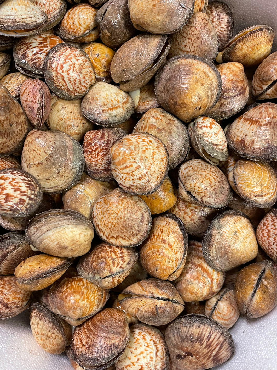 Amandes vivantes dessablées