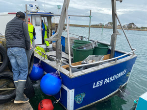 Les Passionnés qui pêchent les bulots