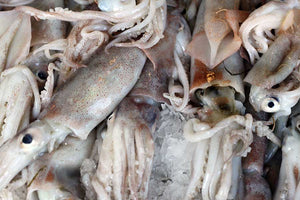 Encornets 200 / 300g