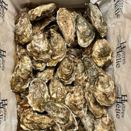 Huîtres N°3, Saint Vaast la Hougue, Normandie