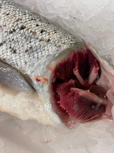 Saumon d'Ecosse, Label Rouge, entier 3 / 4 Kg