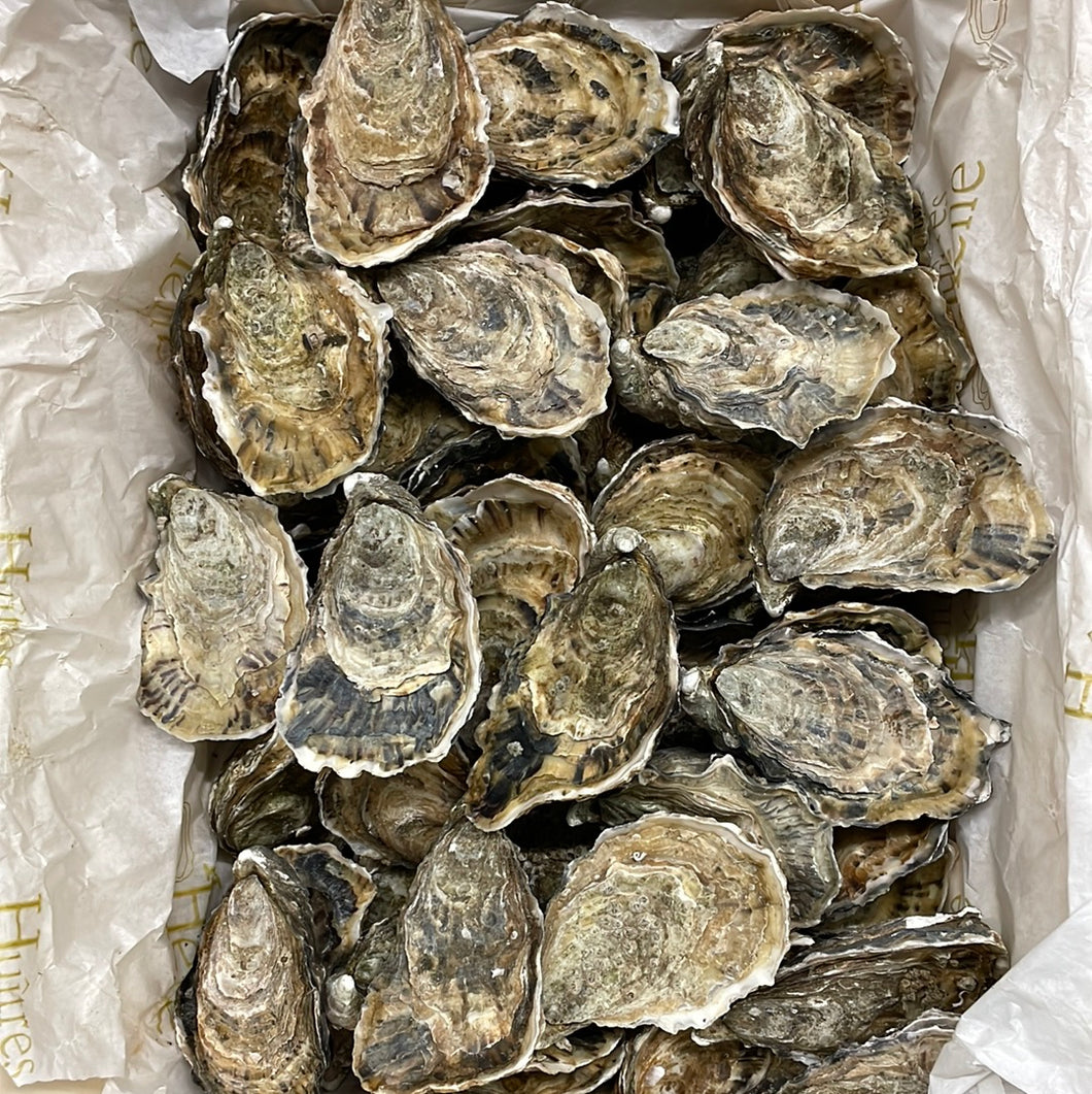 Huîtres N°2, LA SPECIALE, Saint-Vaast-la-Hougue, Normandie