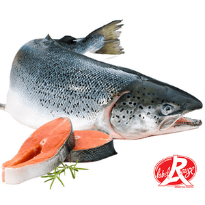 Saumon d'Ecosse, Label Rouge, entier 3 / 4 Kg
