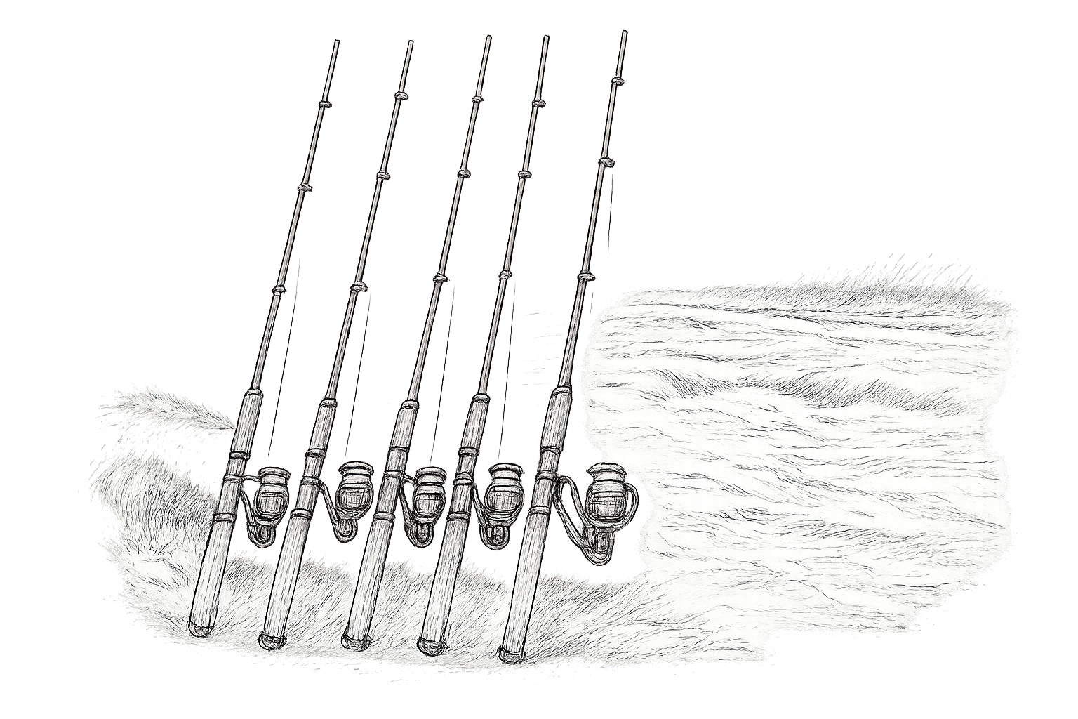 canne lancer truite