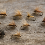 Top 10 des mouches à truite : la sélection indispensable des experts pour chaque saison